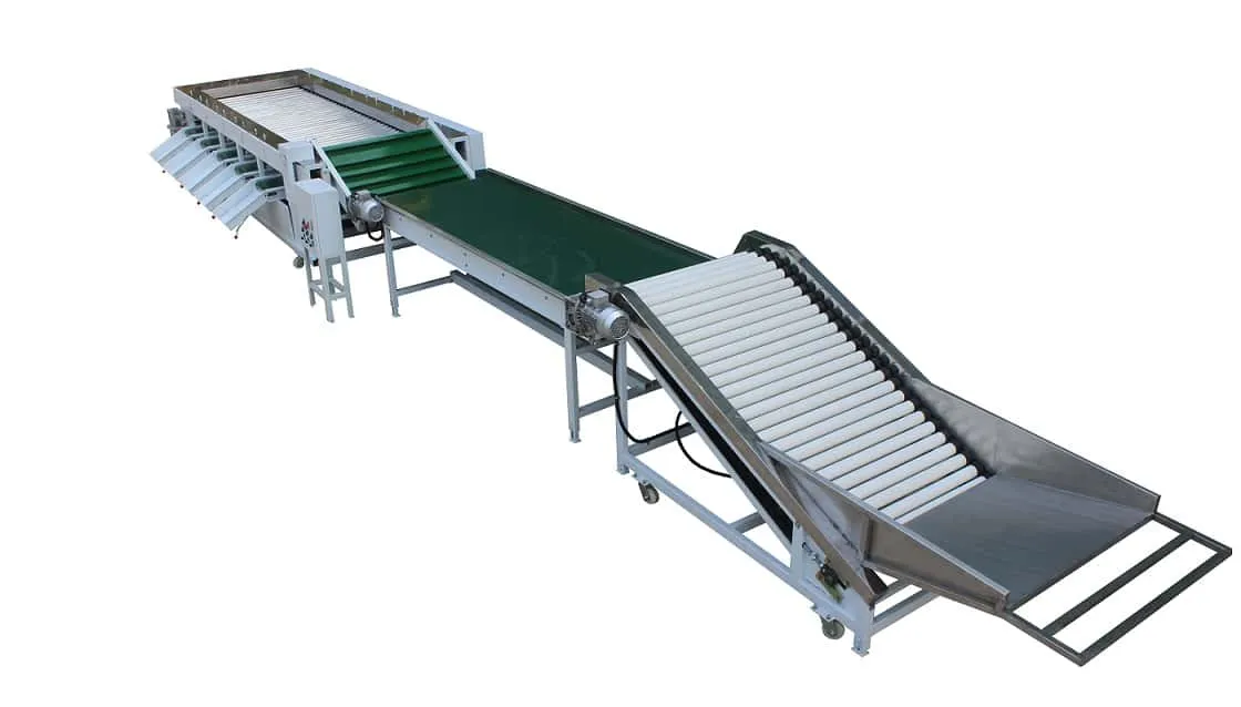 Mangosteen Cleaning Sorting Machine - FstSort