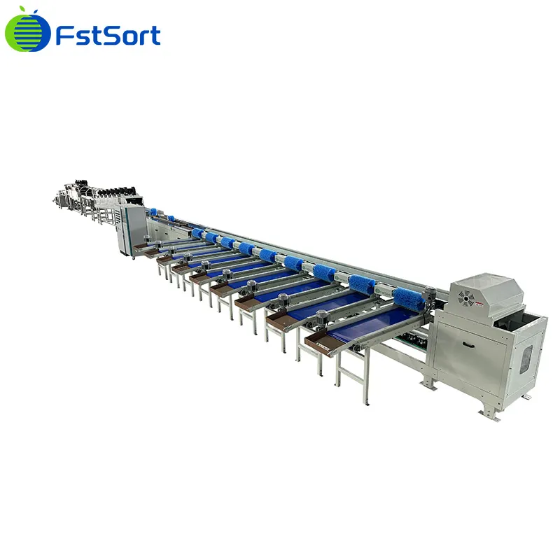 Conference pears grading equipment