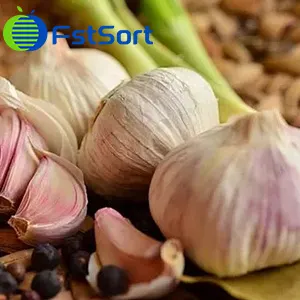 What influences the price of garlic?