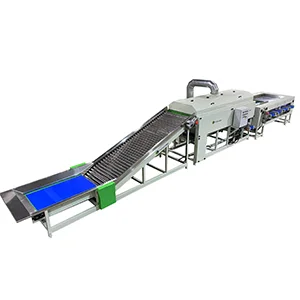 La máquina clasificadora de patatas con limpieza seca