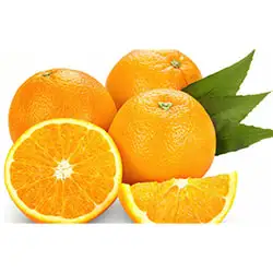 Difference between orange processing machine and tangerine grading equipment