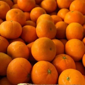 How fruit farmers use sorting technology to make citrus more profitable