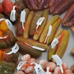 FstSort push out a horizontal mesh belt semi-automatic packaging machine