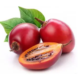 Tamarillo /tree tomato sorting machine