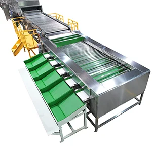 La lĂnea para batatas de buena calidad