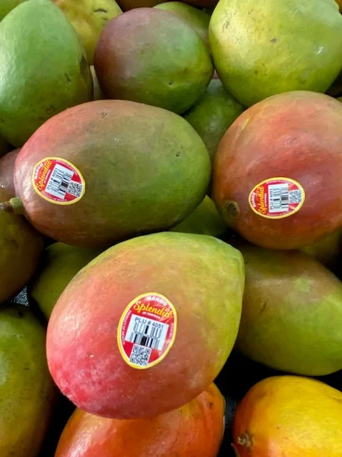 How to clean and sort mangoes in Mexico fruit processing plants