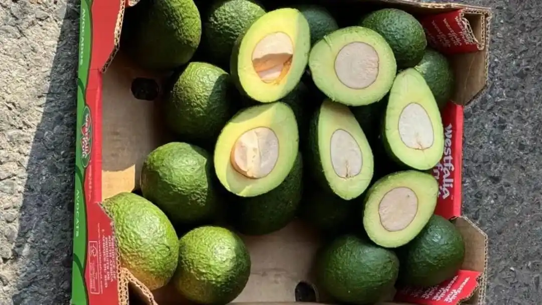 Dole Delivers Debut Batch of South African Avocados to China