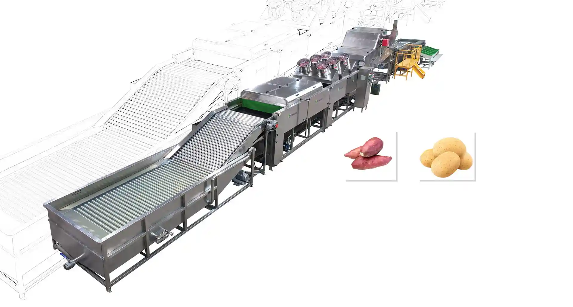 sweet potato washing, drying, sorting, grading line with packing tables