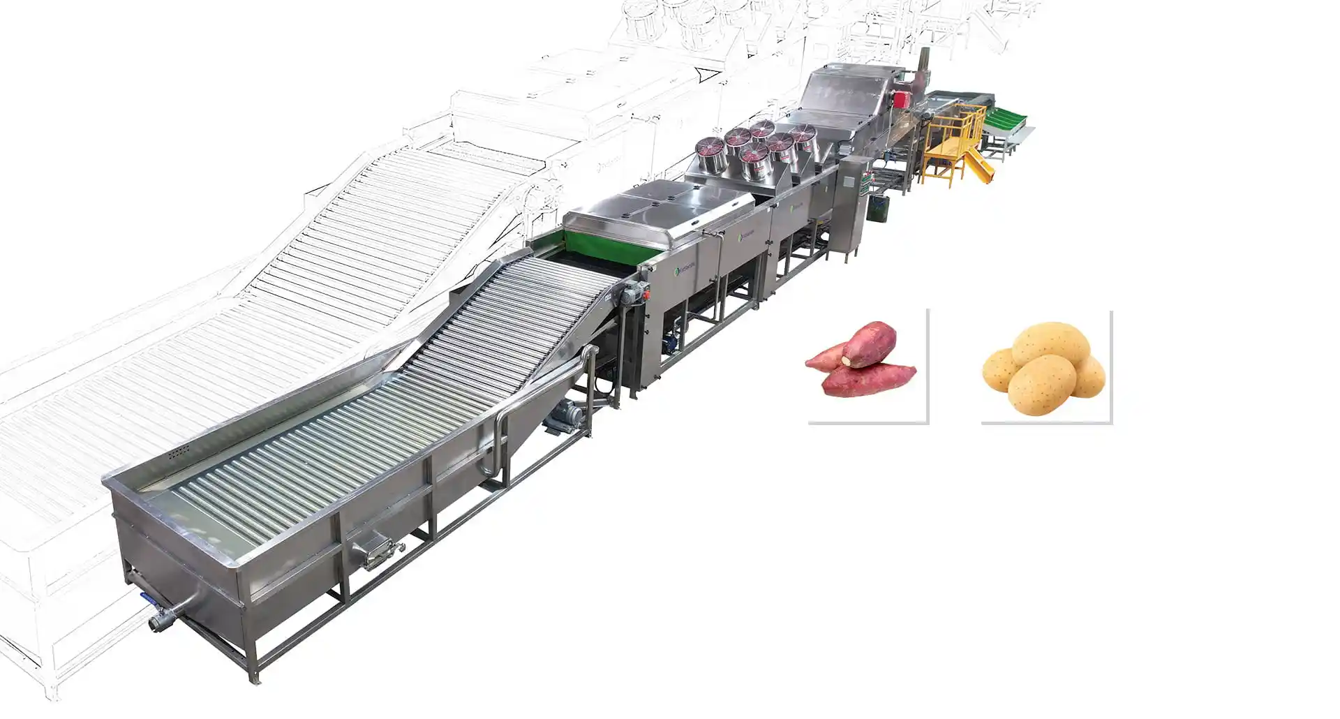 sweet potato washing, drying, sorting, grading line with packing tables