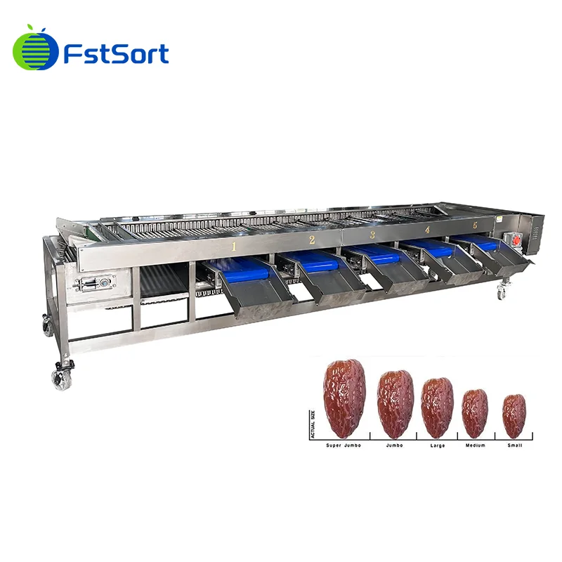 Date sorting machine customized for Saudi customer