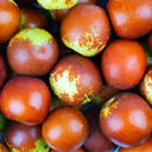 Roller Grader -the Best Choice for Your Jujubes