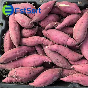 El tesoro de las verduras: Batatas