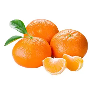 Advanced type mandarin washing sorting line