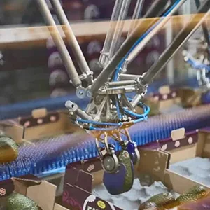 The world's first avocado packing robot has been unveiled