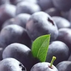 The Chilean blueberry industry is undergoing a change of variety