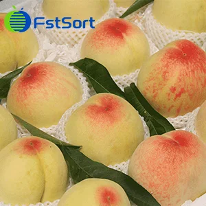 July Opportunity For Peach And Plum Weighing Sorter
