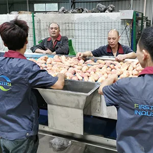 A complete design for sorting fruit manually