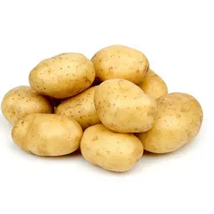 Potato sorting machine produced by First Industry