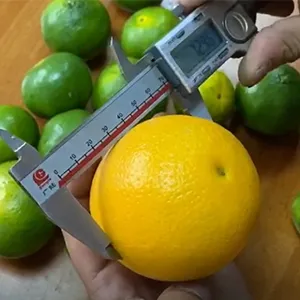 The citrus market, the citrus Processing machine