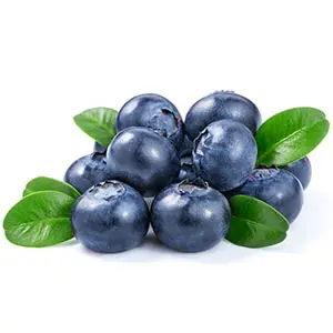 Blueberry packing line