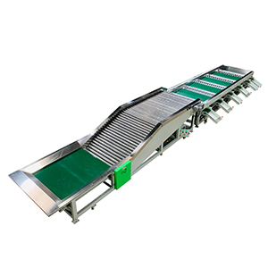 fruit and vegetable sorting machine，blueberry grader,  tomato grader, sorting and packaging solutions