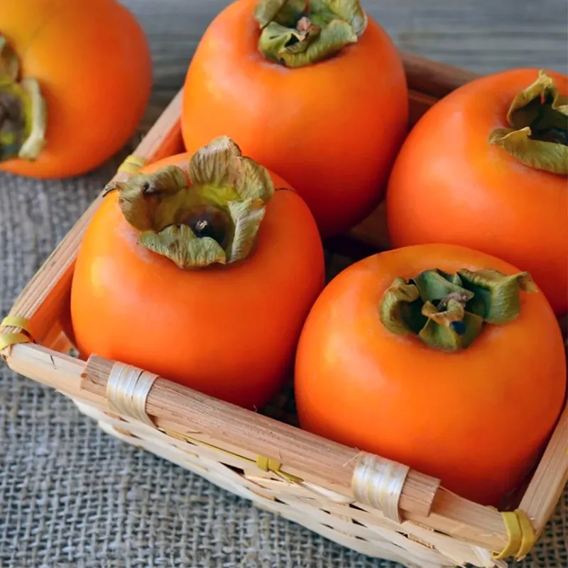 Tajikistan Persimmon