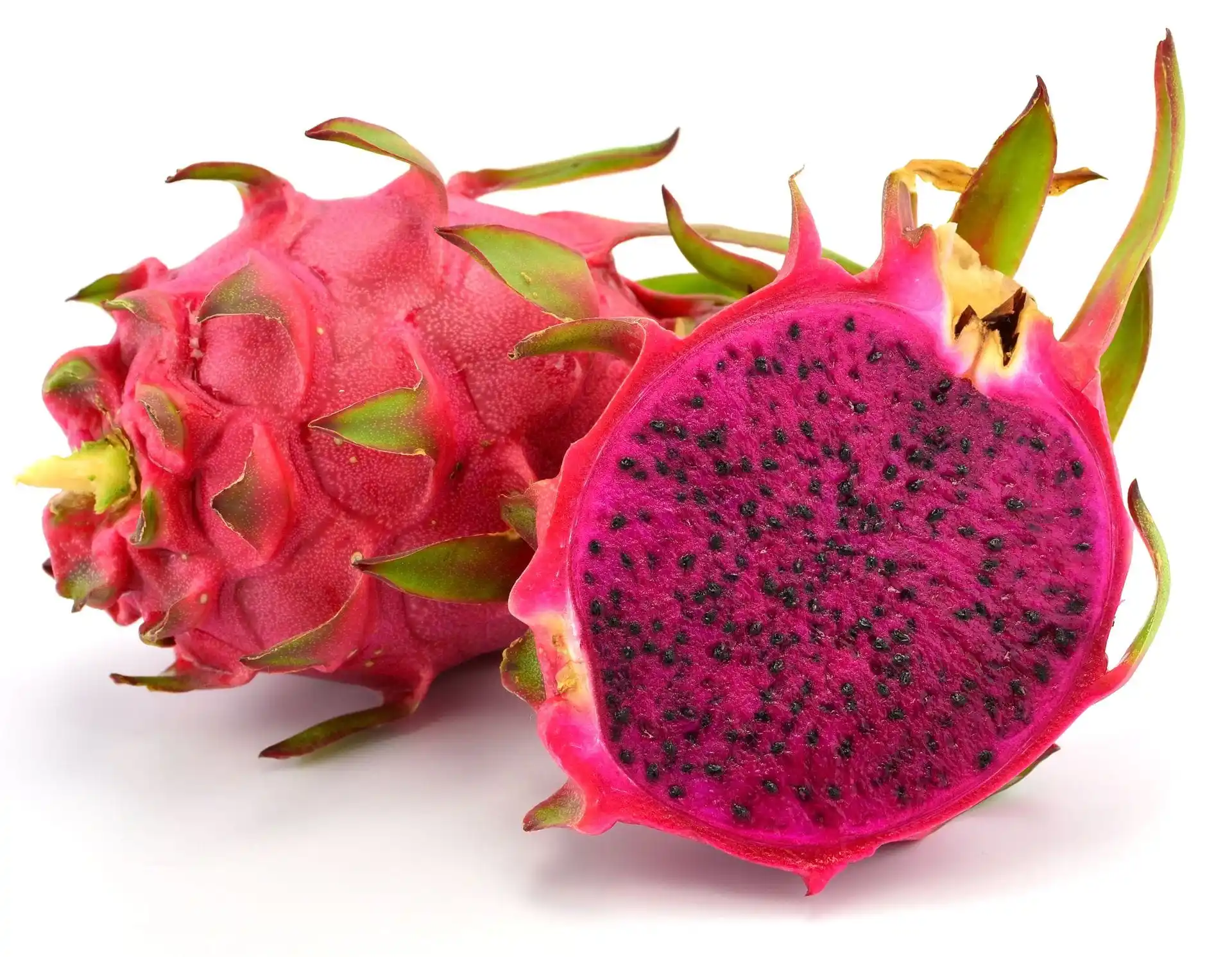 Vietnam Red Dragon Fruit