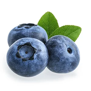 Zambian blueberries allowed to export to China