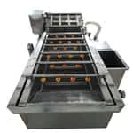 A new designed washing machine for fruit and vegetable