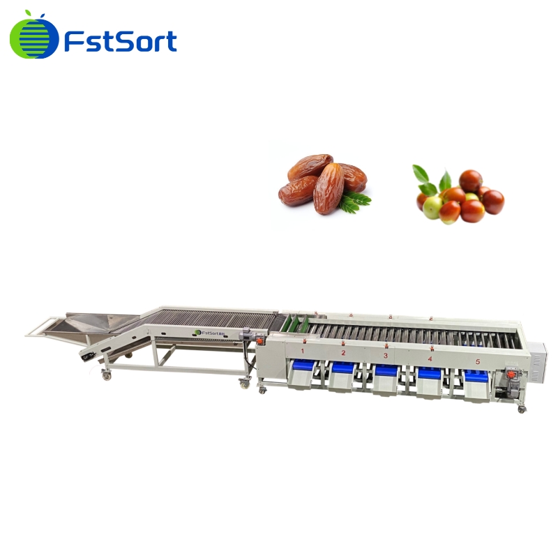 Date processing line，Date sorting grading machine,Date processing machine, date growers,agriculture machinery