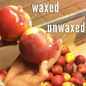 How to treat fruit waxing