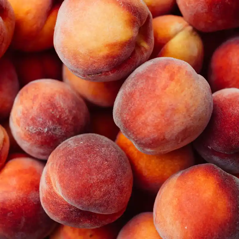 Kyrgyz peaches and apricots are expected to be exported to China