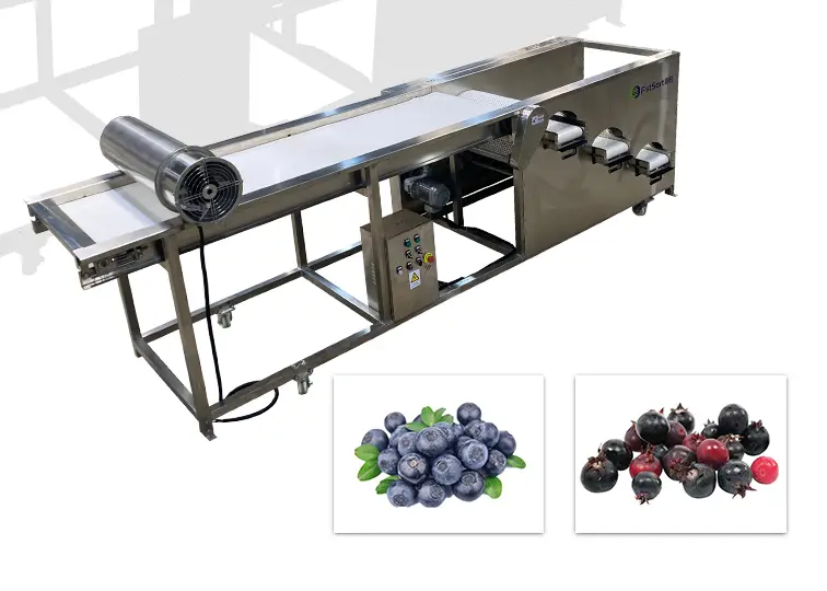 Fstsort blueberry grader sizer can sort blueberries into different sizes