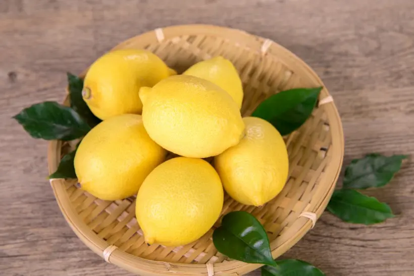 Tajikistan lemon allowed to be exported to China to