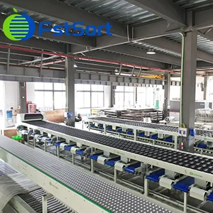 Línea de clasificación de tomates de 4-carriles