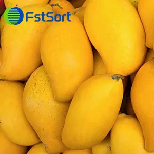 First batch of Pakistani mangoes to arrive in China