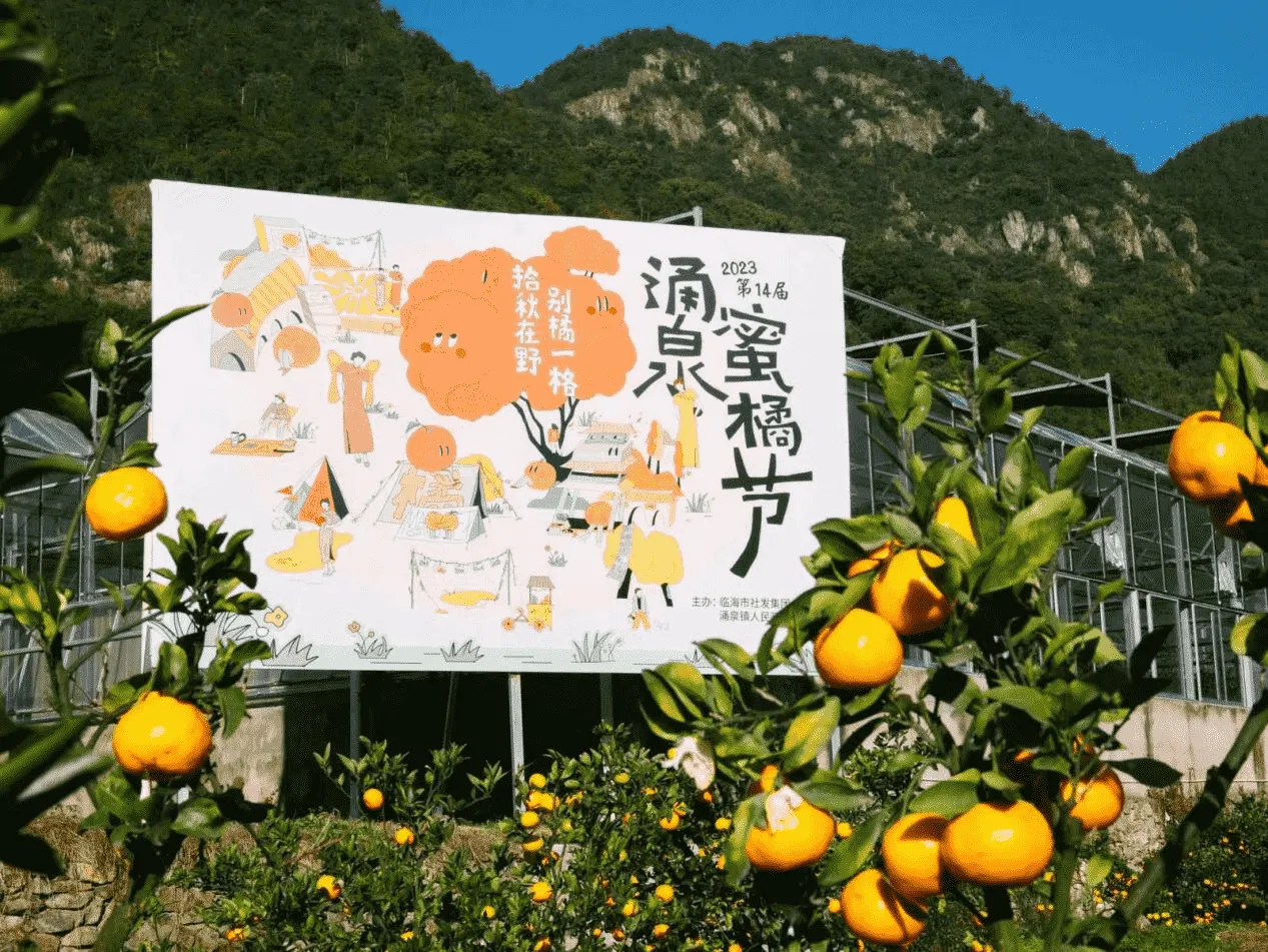 Mandarin Season is Coming