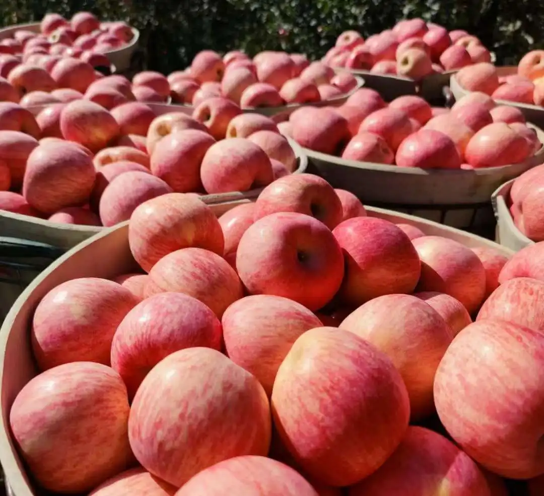 How to improve apple sorting efficiency