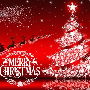 First Industry wishes you a merry Christmas