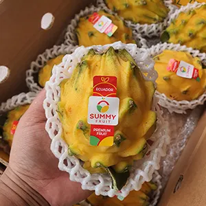 Dragon Fruits has been exported to China from Ecuador