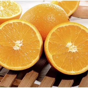 Fstsort Citrus Sorting Lines for Different Needs