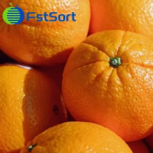 La producción de cítricos en el hemisferio sur aumenta constantemente