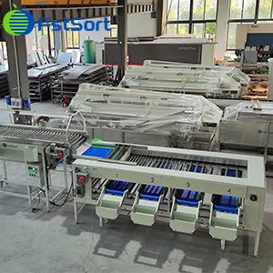 Clasificadora de Patatas Enviada a Canarias