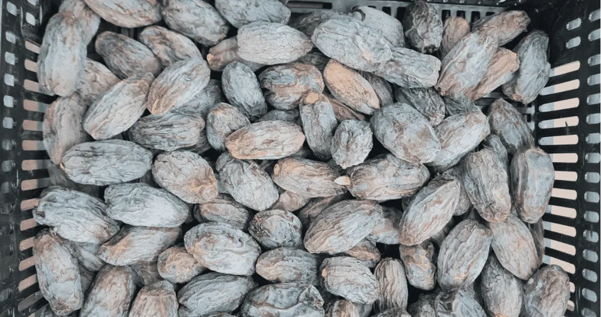 Date processing machine