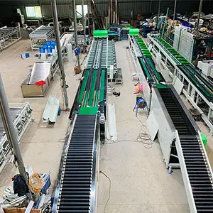 Pear Sorting Grading Machine