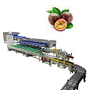 Full automatic passion fruit packing line