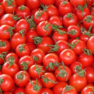 Cherry Tomatoes sorting and packaging machine