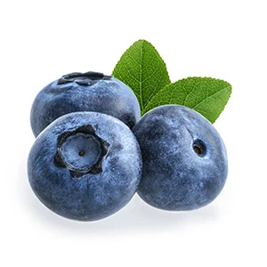 Southern hemisphere exporting 310,000 tons of blueberries sets a new record