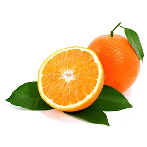 2021/22 Northern Hemisphere Citrus Season Forecast