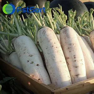 How to clean and grade radish